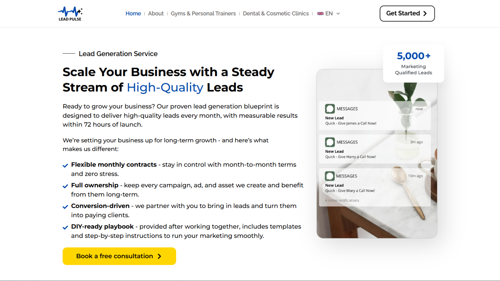 Lead Pulse Ads — Conversion-First Website for a Multichannel Lead Generation Agency