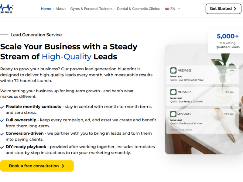Lead Pulse Ads — Conversion-First Website for a Multichannel Lead Generation Agency