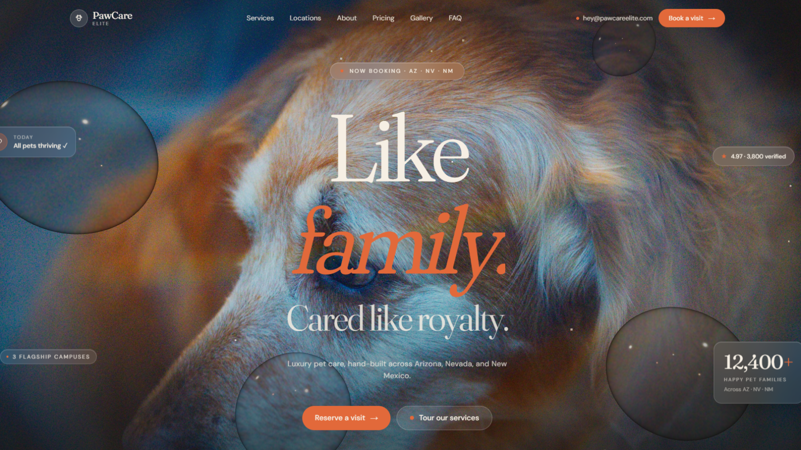 PawCare Elite — Cinematic Web Experience for a Luxury Pet Care Network